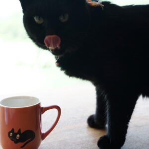 クロネコ イラストシール